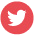 Icono twitter